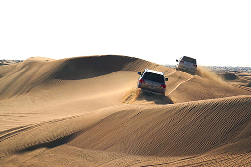 砂漠ツアー（Desert Safari）