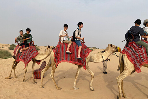 キャメルライド（Camel Ride）